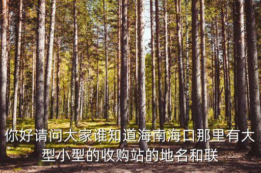 你好请问大家谁知道海南海口那里有大型小型的收购站的地名和联