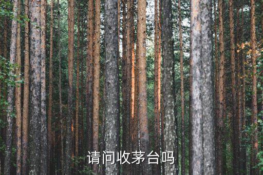 请问收茅台吗