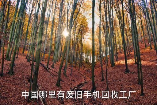 中国哪里有废旧手机回收工厂