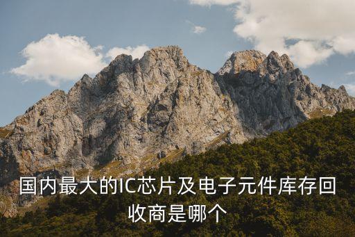 国内最大的IC芯片及电子元件库存回收商是哪个
