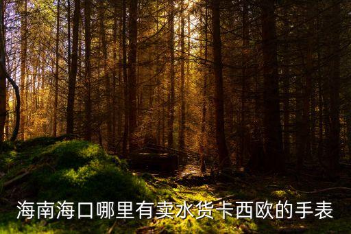 海南海口哪里有卖水货卡西欧的手表