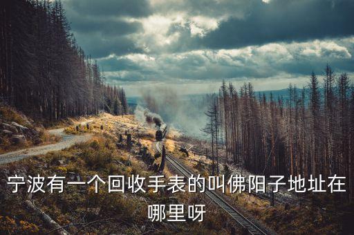 宁波有一个回收手表的叫佛阳子地址在哪里呀