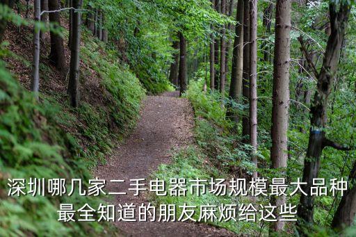 深圳哪几家二手电器市场规模最大品种最全知道的朋友麻烦给这些