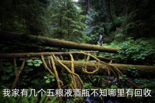 我家有几个五粮液酒瓶不知哪里有回收