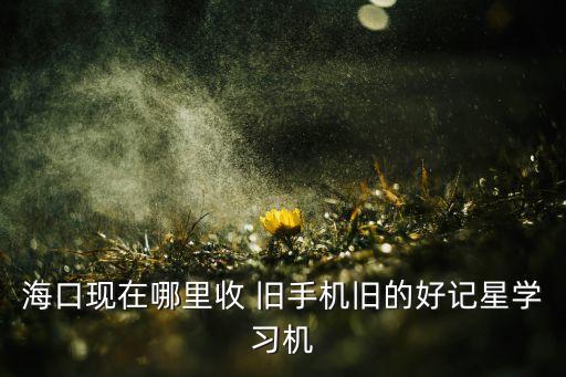 海口现在哪里收 旧手机旧的好记星学习机