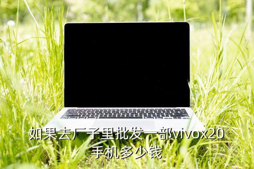 如果去厂子里批发一部vivox20手机多少钱