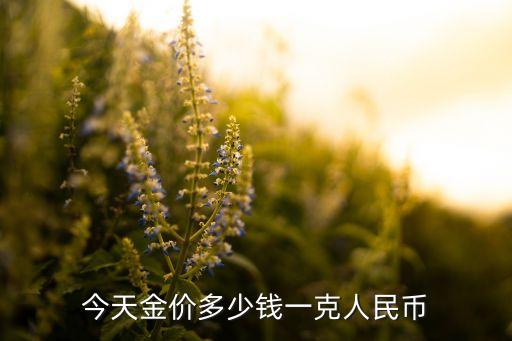 今天金价多少钱一克人民币