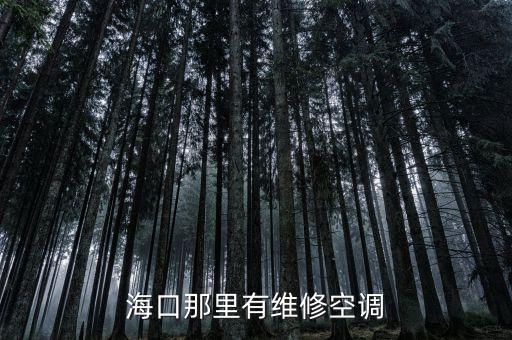 海口那里有维修空调