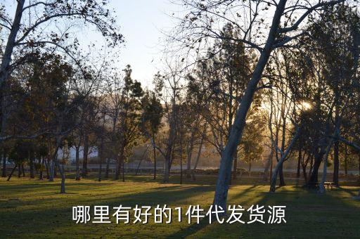 哪里有好的1件代发货源