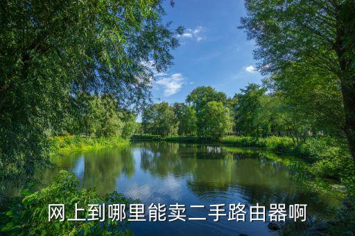 网上到哪里能卖二手路由器啊