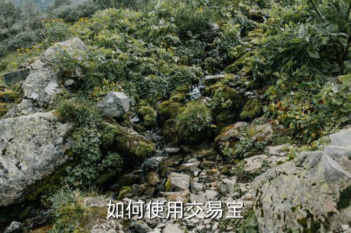 如何使用交易宝