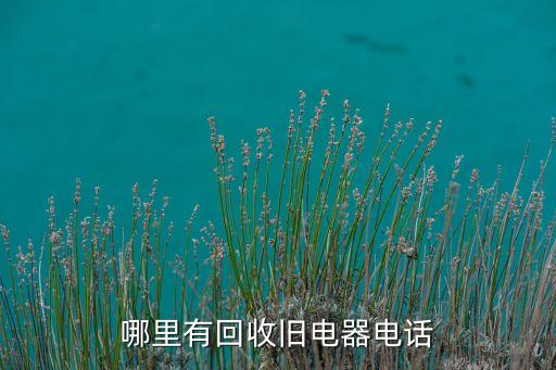 附近收旧家电电话上门安装，哪里有回收旧电器电话