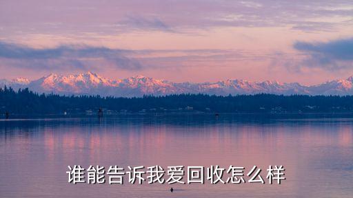 谁能告诉我爱回收怎么样