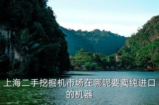 上海二手挖掘机市场在哪呢要卖纯进口的机器