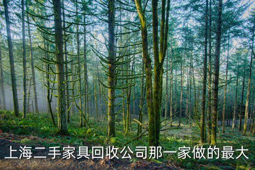 上海二手家具回收公司那一家做的最大