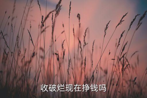 收破烂现在挣钱吗