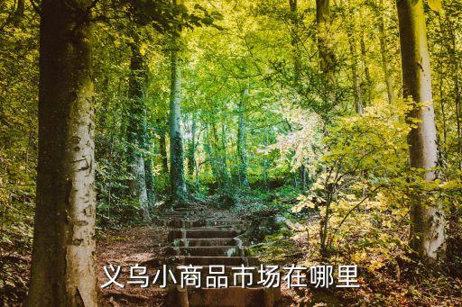 义乌小商品市场在哪里