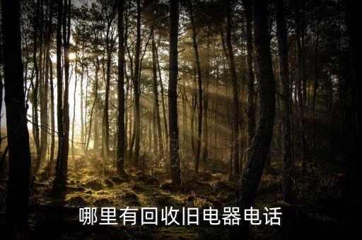 哪里有回收旧电器电话
