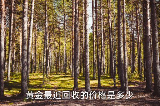 黄金最近回收的价格是多少