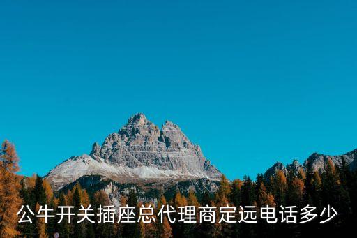 公牛开关插座总代理商定远电话多少