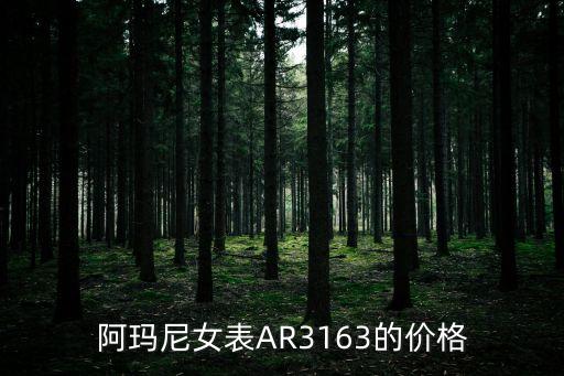 阿玛尼女表AR3163的价格