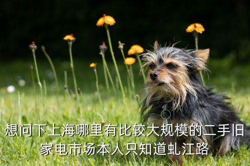 上海收二手电器的，上海张江孙桥哪儿有回收旧或者出售家电旧电脑的