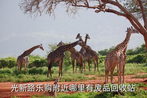 光新路乐购附近哪里有废品回收站