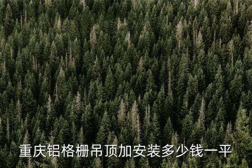 重庆铝格栅吊顶加安装多少钱一平