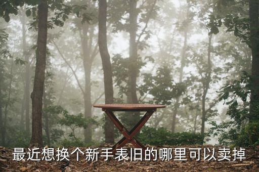 最近想换个新手表旧的哪里可以卖掉