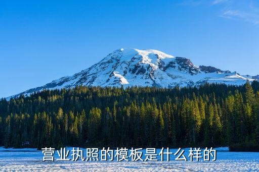 营业执照的模板是什么样的