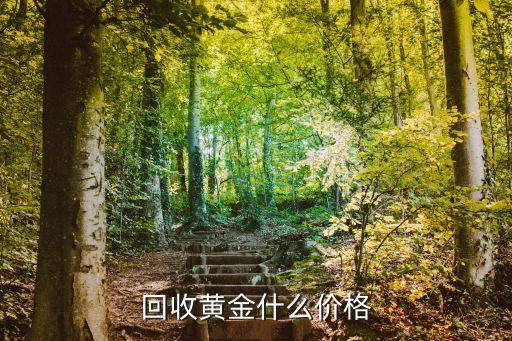 回收黄金什么价格