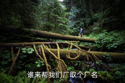 谁来帮我们厂取个厂名