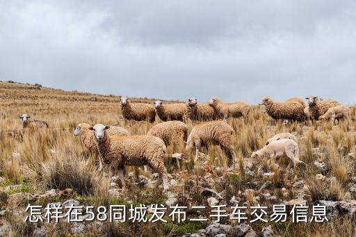 怎样在58同城发布二手车交易信息