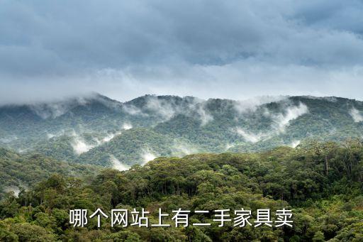 哪个网站上有二手家具卖