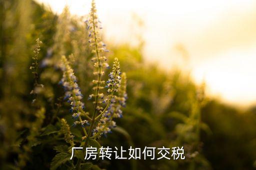 厂房转让如何交税