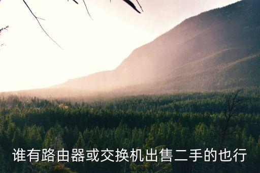 谁有路由器或交换机出售二手的也行