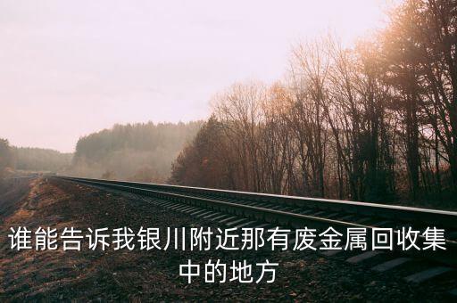 谁能告诉我银川附近那有废金属回收集中的地方