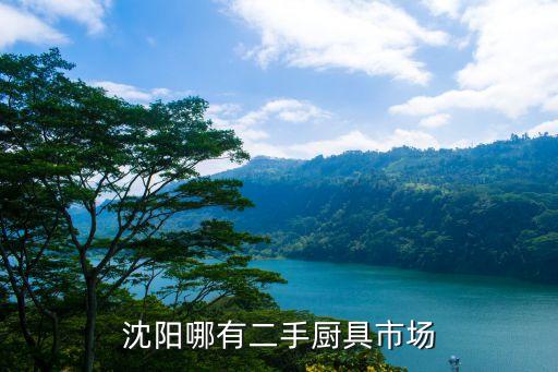 沈阳哪有二手厨具市场