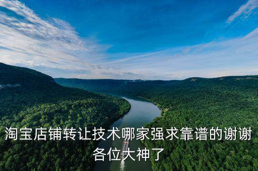 淘宝店铺转让技术哪家强求靠谱的谢谢各位大神了
