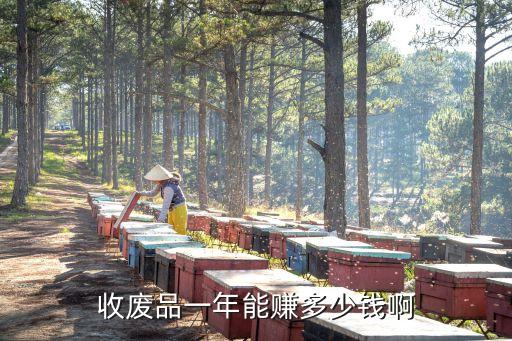 收废品一年能赚多少钱啊