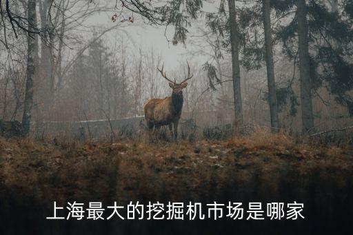 上海最大的挖掘机市场是哪家