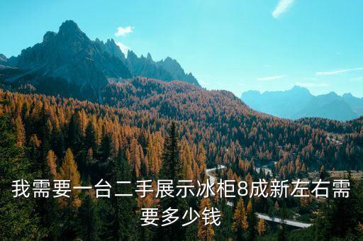 我需要一台二手展示冰柜8成新左右需要多少钱