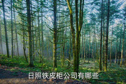 日照铁皮柜公司有哪些