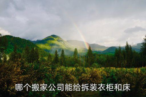 哪个搬家公司能给拆装衣柜和床