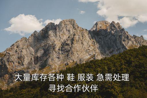 大量库存各种 鞋 服装 急需处理 寻找合作伙伴