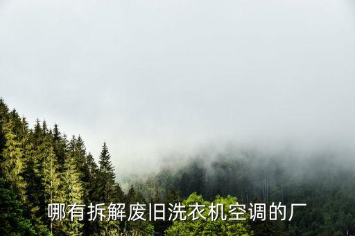 哪有拆解废旧洗衣机空调的厂