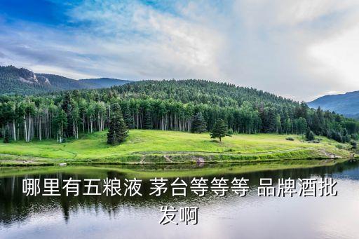 哪里有五粮液 茅台等等等 品牌酒批发啊
