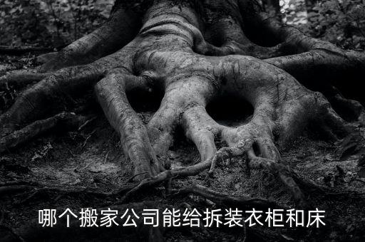 哪个搬家公司能给拆装衣柜和床