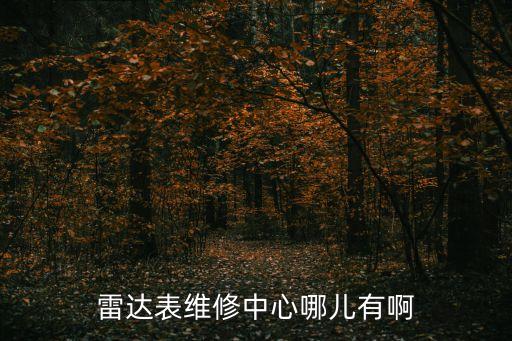 雷达表维修中心哪儿有啊