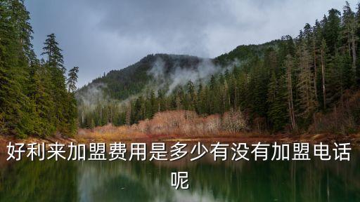 好利来加盟费用是多少有没有加盟电话呢
